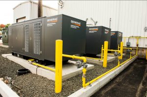 Natural Gas Generators